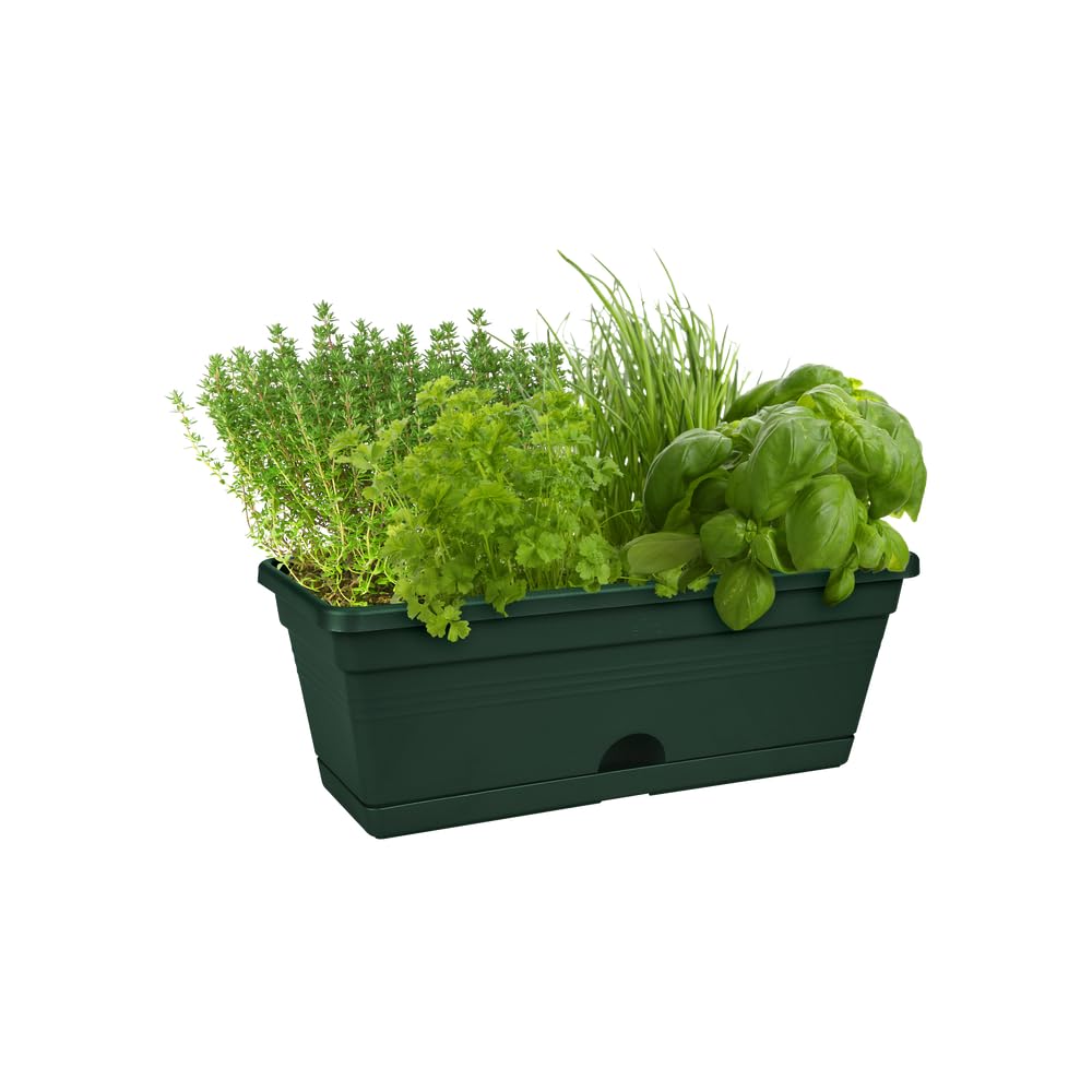 elho-green-basics-balconni-re-mini-30-cm-leaf-green image 6