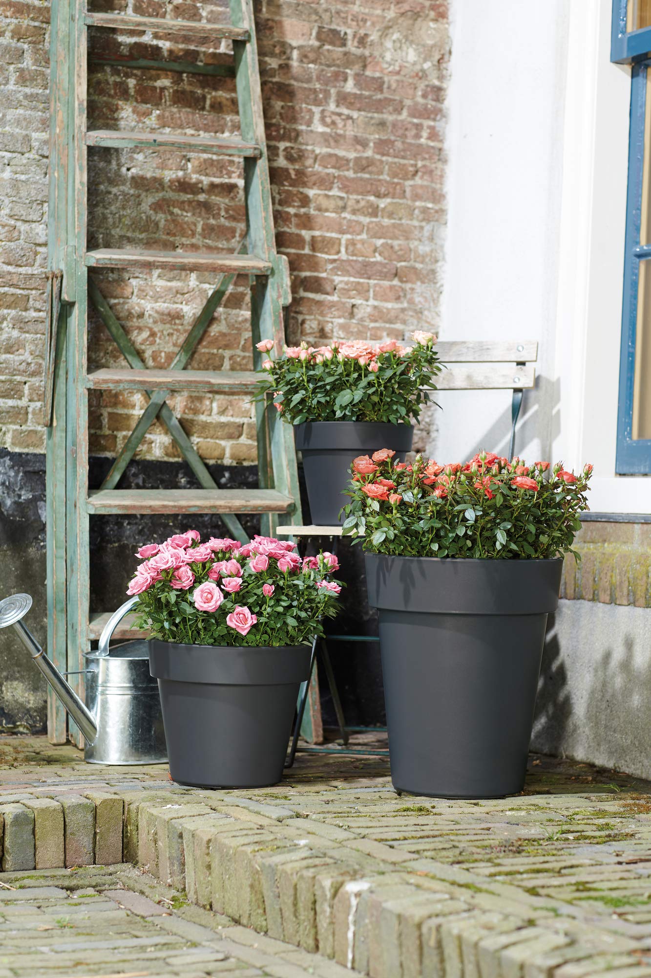 elho-green-basics-top-planter-23-pot-23-0-x-h-19-6-cm-rose-cerise image 2