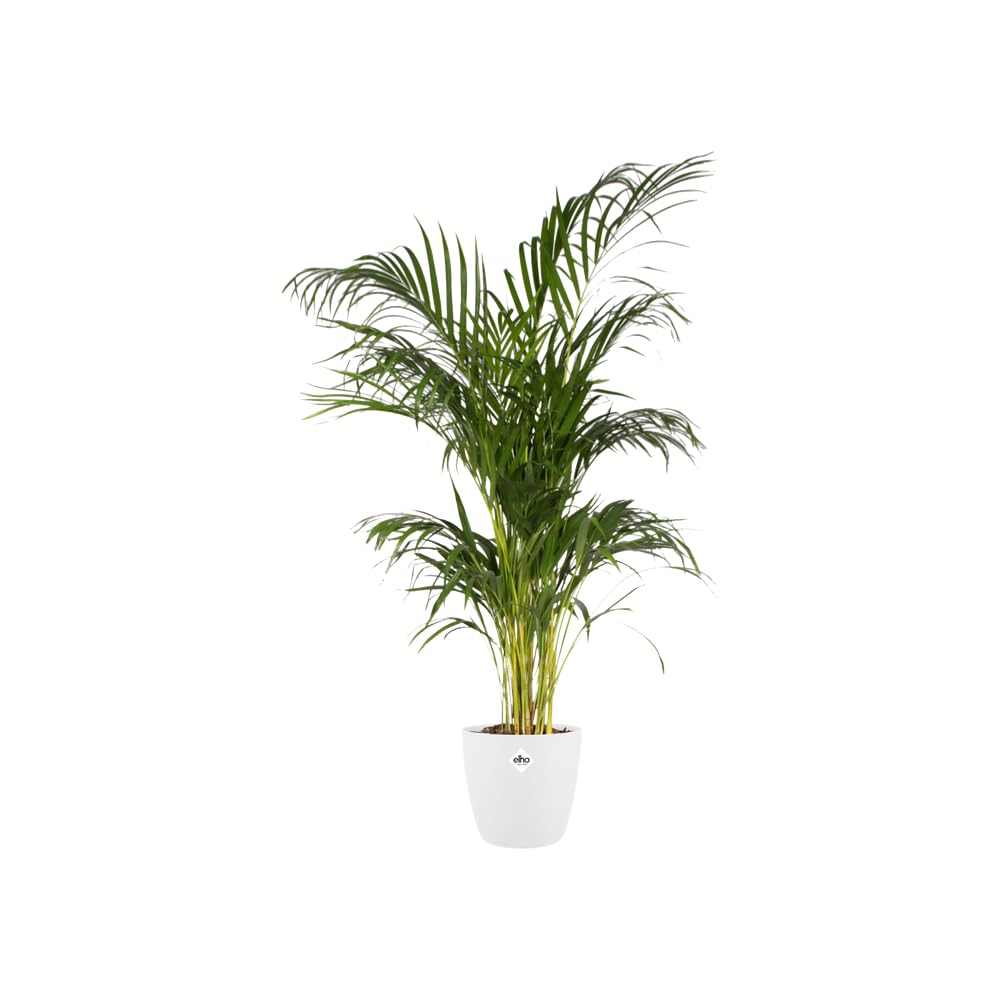 elho-brussels-rond-30cm-pot-de-fleur-blanc image 3