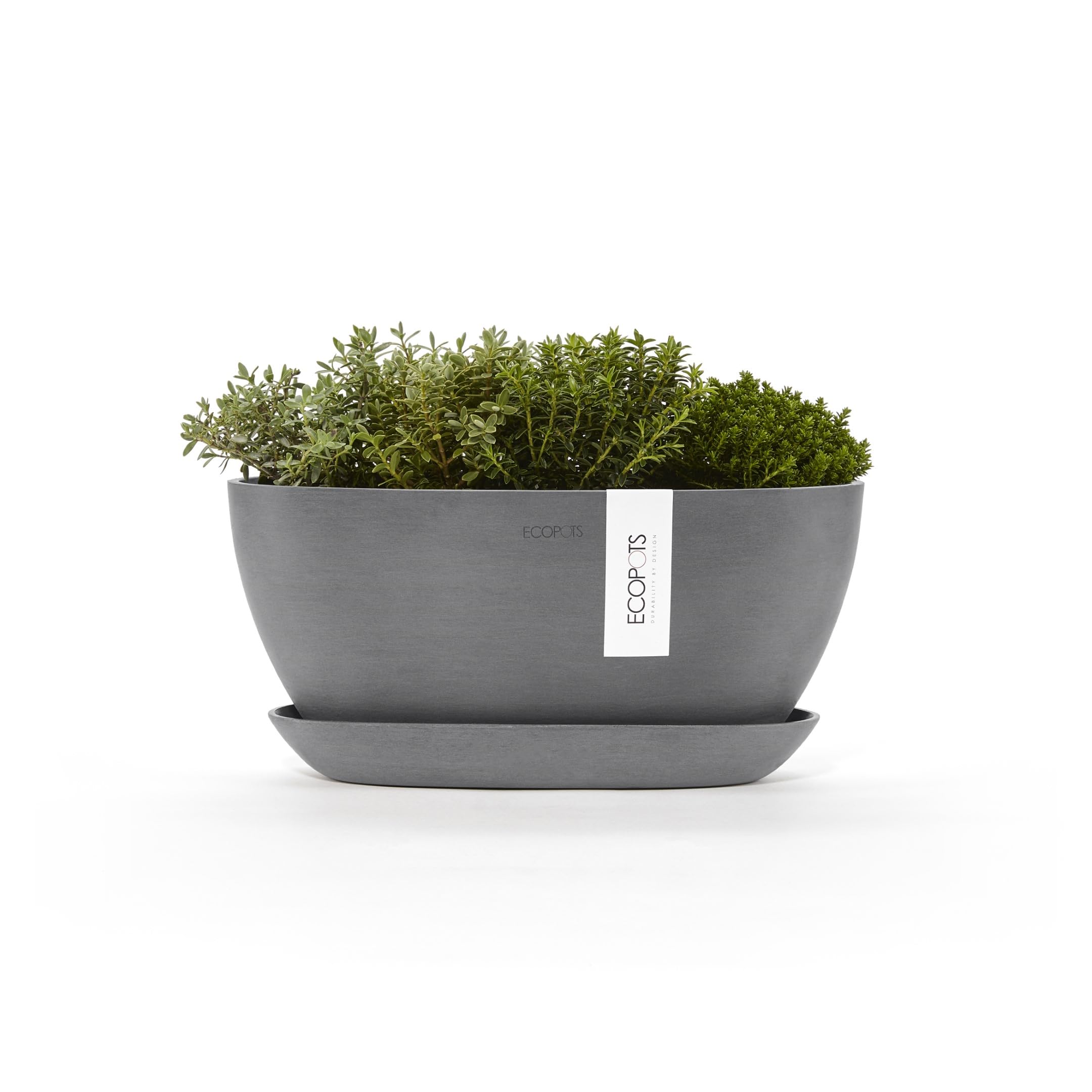 ecopots-sofia-pot-ovale-30-gris-avec-r-servoir-d-eau-30-x-13-x-h-13-5-cm-2-7-l image 7