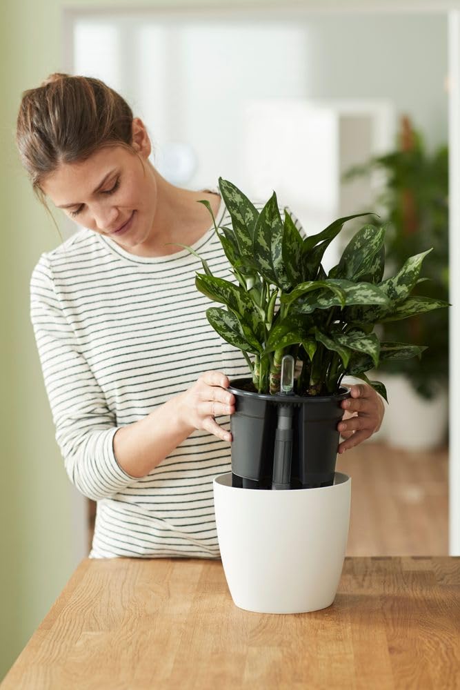 elho-self-watering-insert-24-cm-insert-arrosage-living-noir-23-7-x-h-22-2-cm image 7