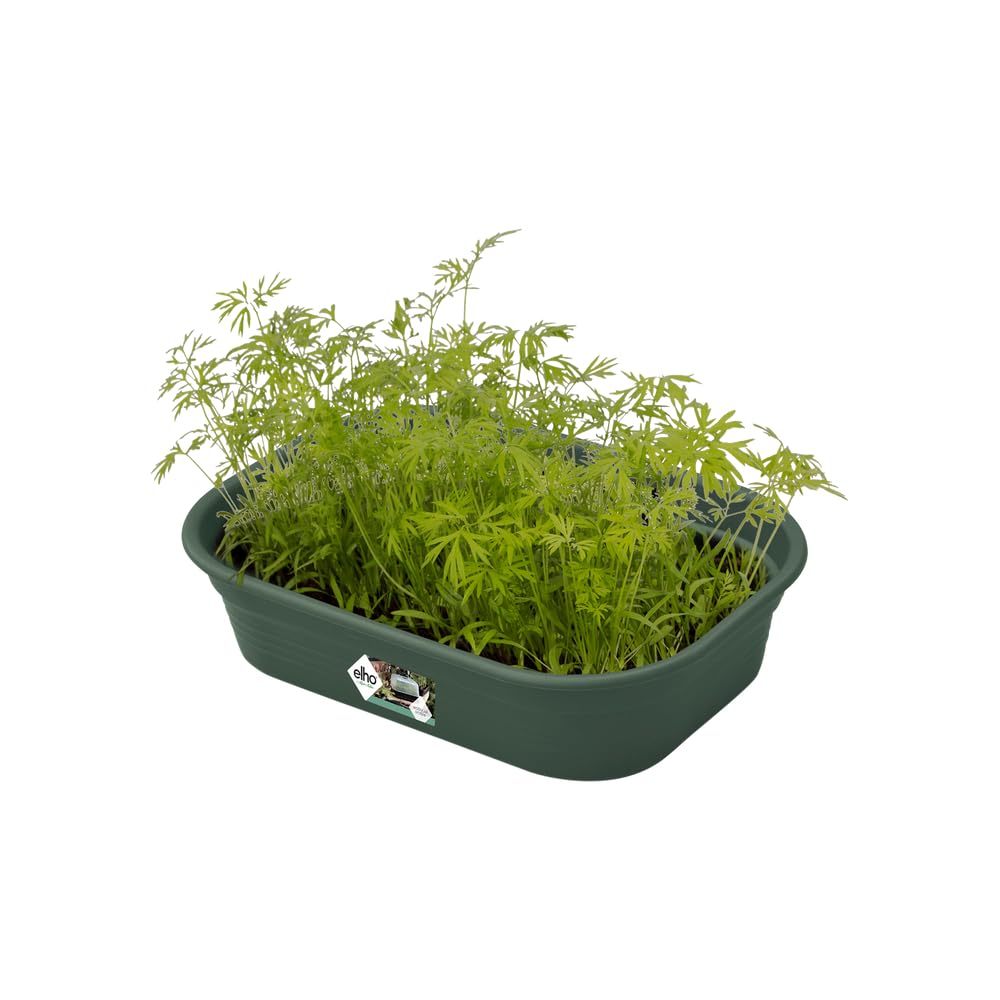 elho-green-basics-plateau-de-culture-s-leaf-green image 3
