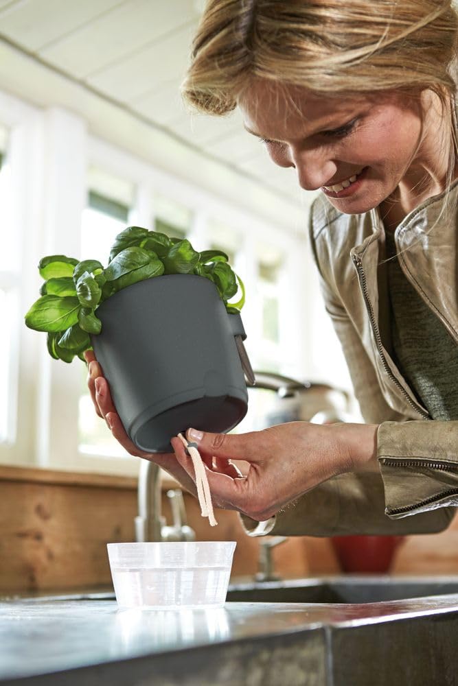 elho-brussels-all-in-1-pot-herbes-13-cm-anthracite-avec-ciseaux image 6