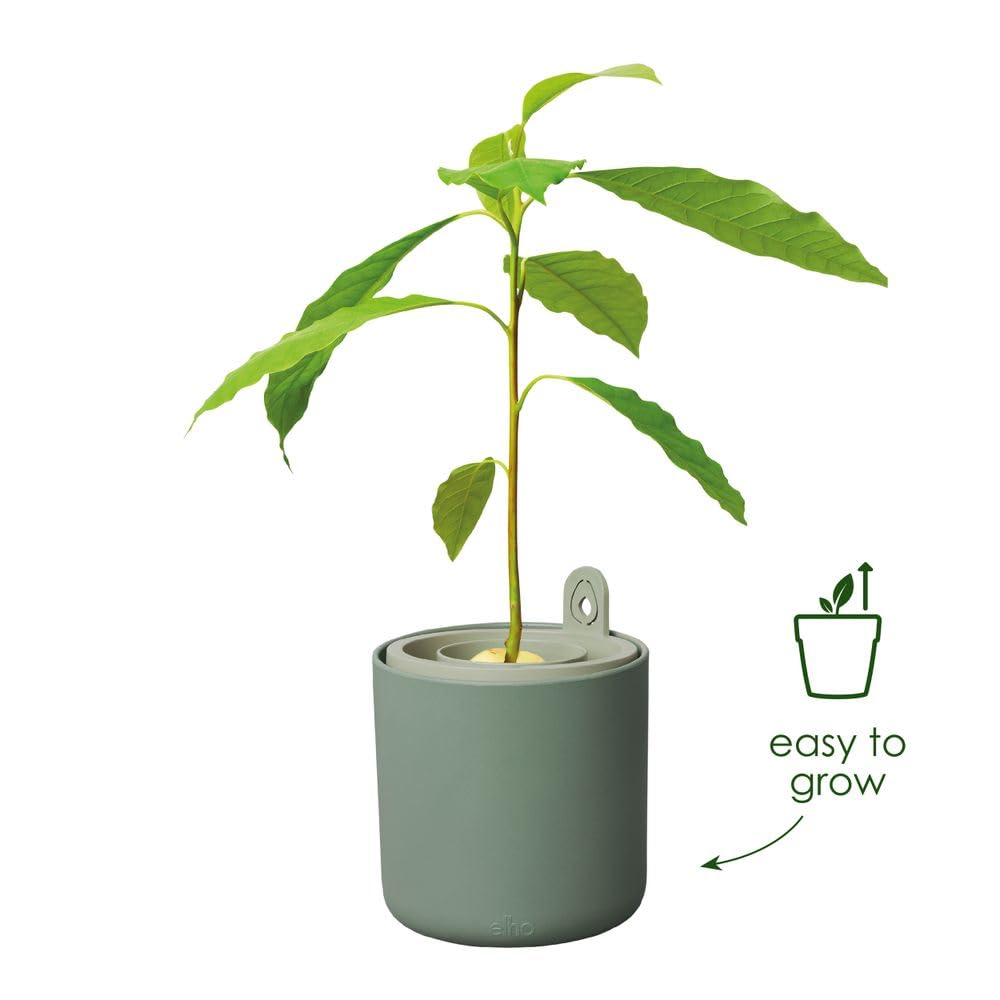 elho-amazing-avocado-pot-pot-avocat-12-x-h-12-1-cm-leaf-green image 2
