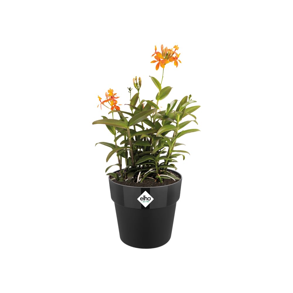 elho-b-for-original-rond-22-cm-pot-de-fleur-living-noir image 3
