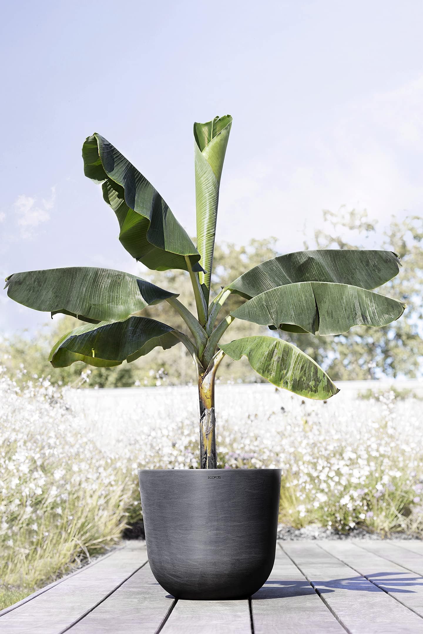 ecopots-pot-rond-oslo-55-gris-fonc-55-x-h-47-9-cm-85-6-l image 4