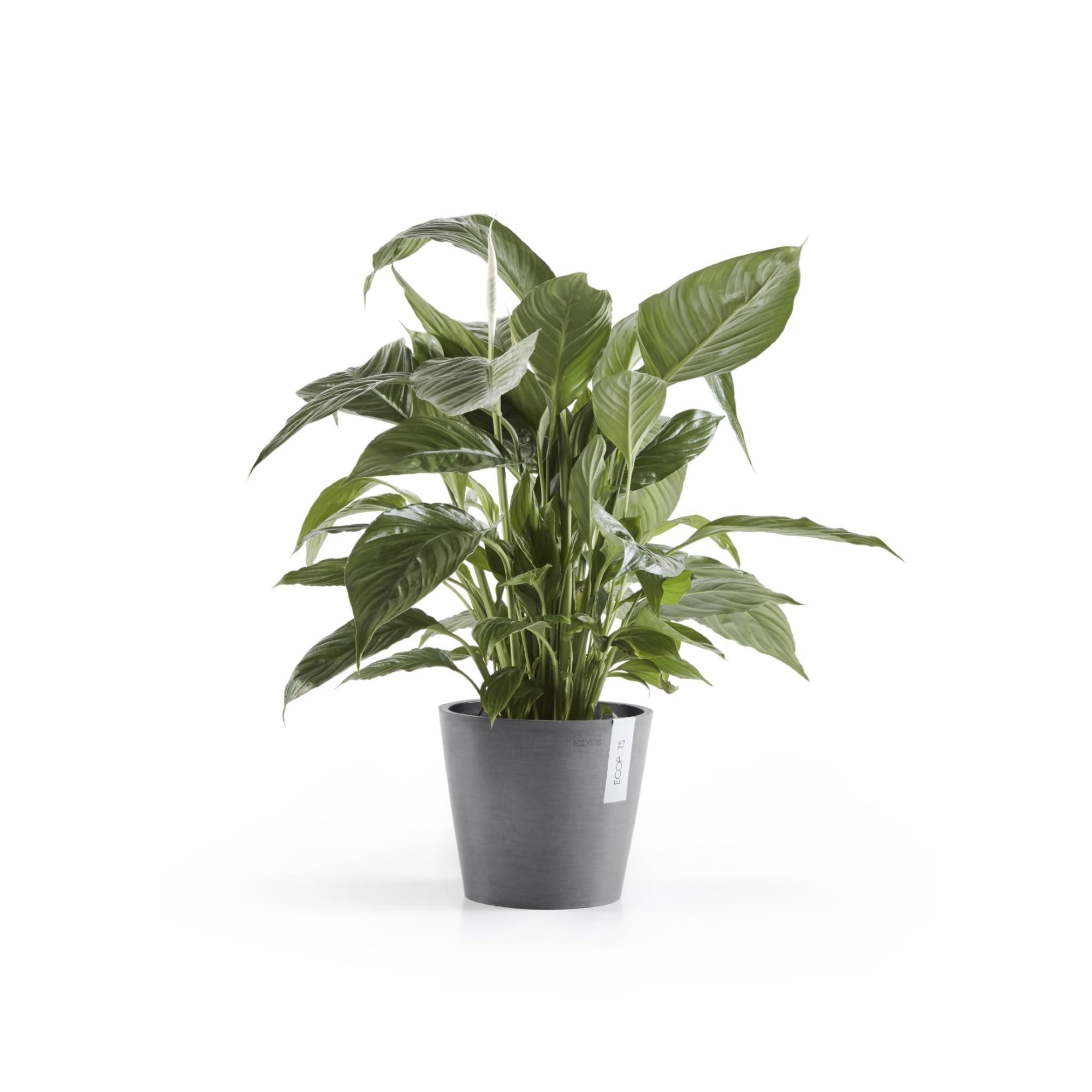 ecopots-amsterdam-20-cm-gris-pot-en-plastique-recycl image 4