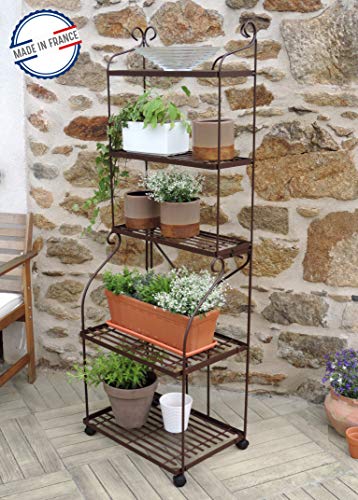 louis-moulin-536-tag-re-plante-boulang-re-volute-fer-vieilli image 8