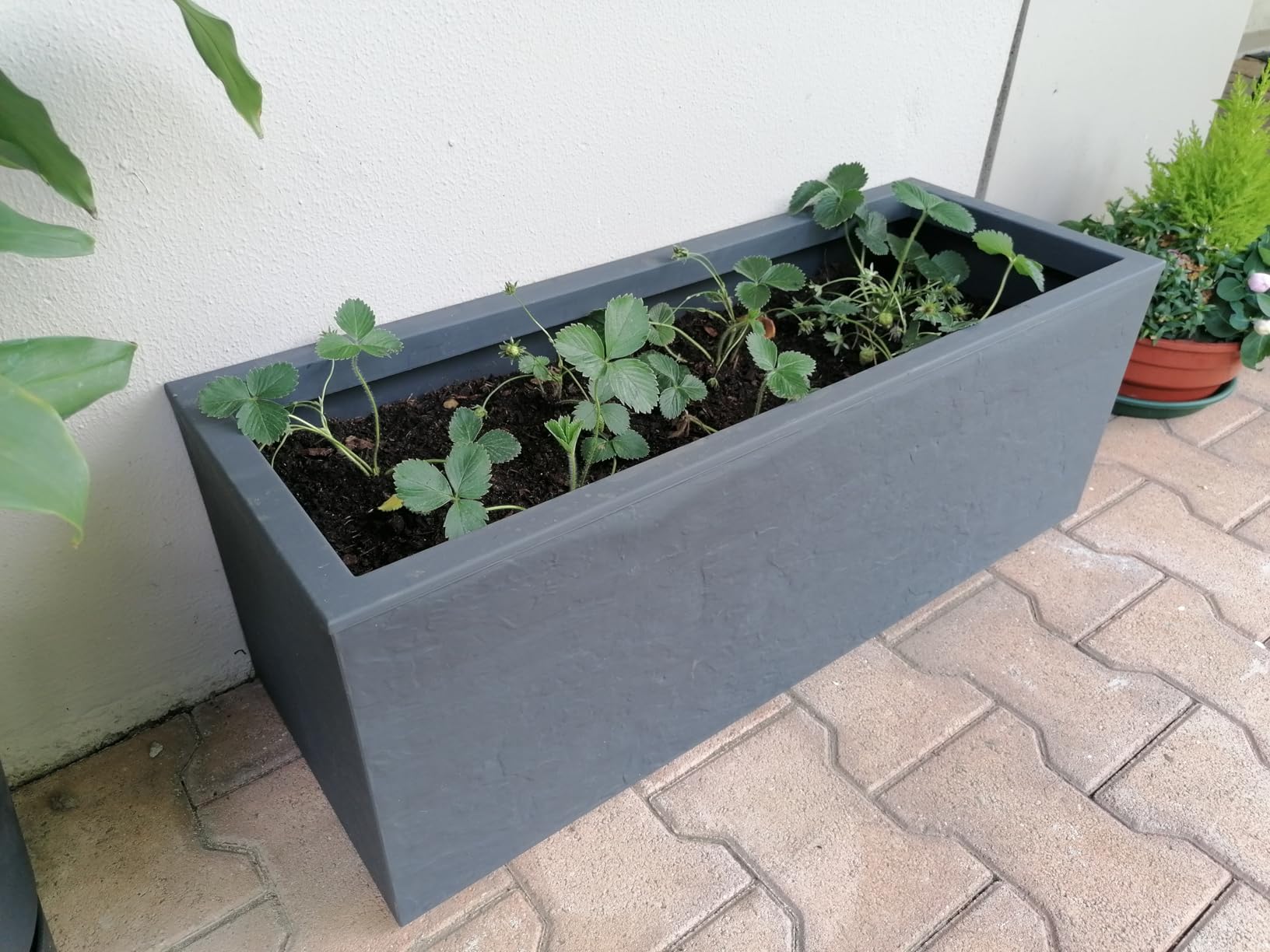Papi jardinier approuve