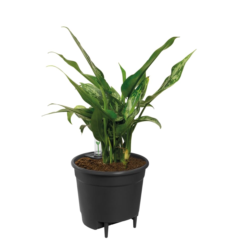 elho-self-watering-insert-24-cm-insert-arrosage-living-noir-23-7-x-h-22-2-cm image 2