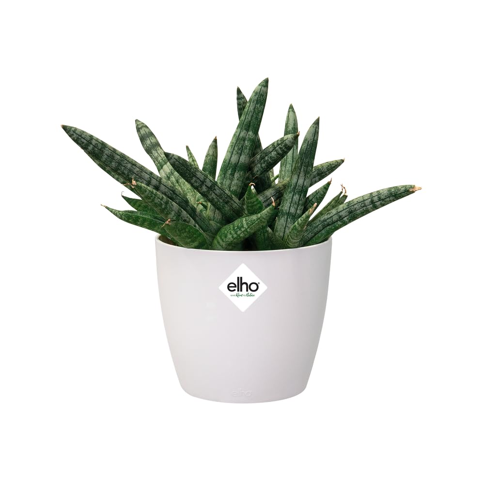 elho-brussels-rond-mini-10-5-cm-blanc-11-x-h-9-7-cm image 8