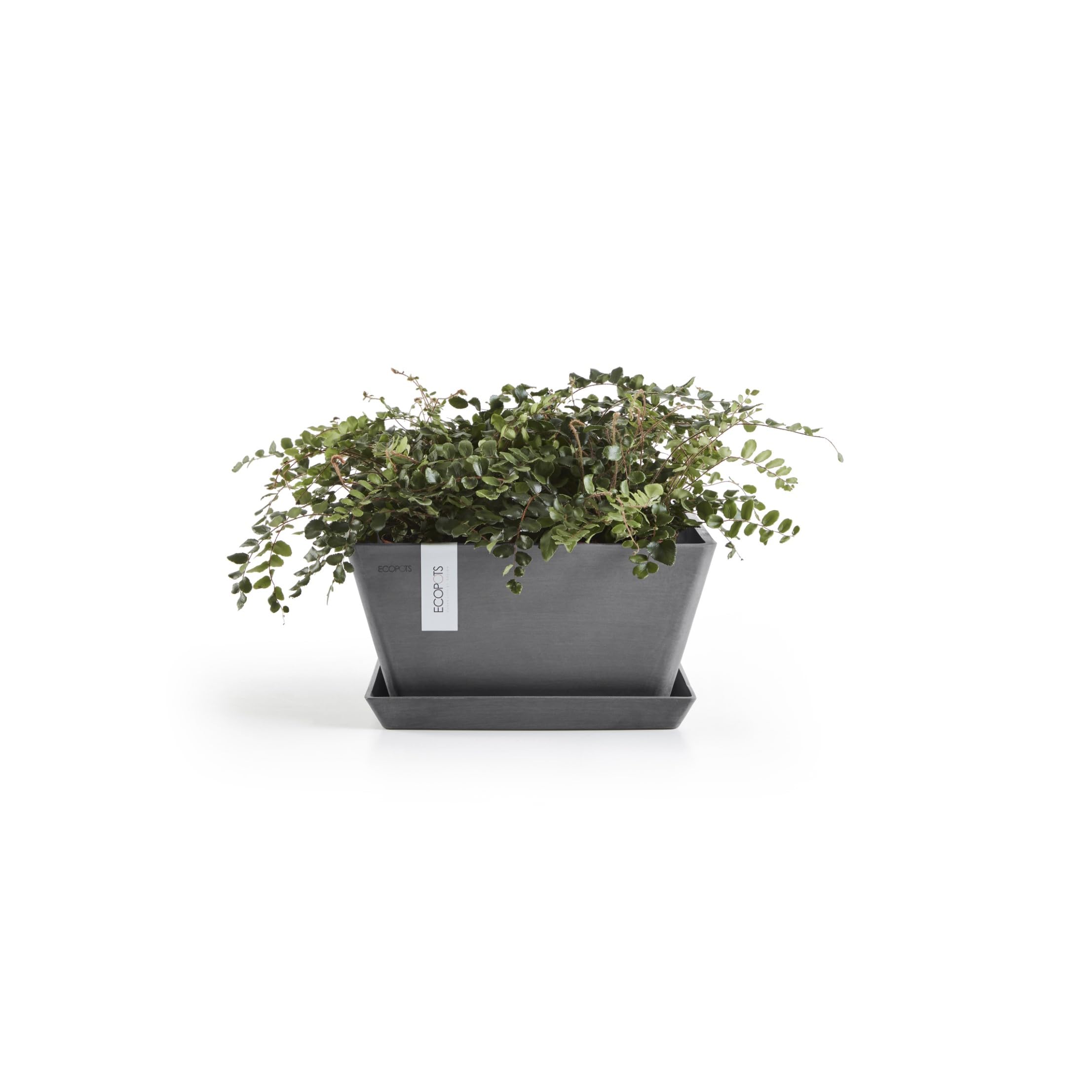 ecopots-berlin-pot-carr-gris-25-x-25-cm-pour-herbes image 6