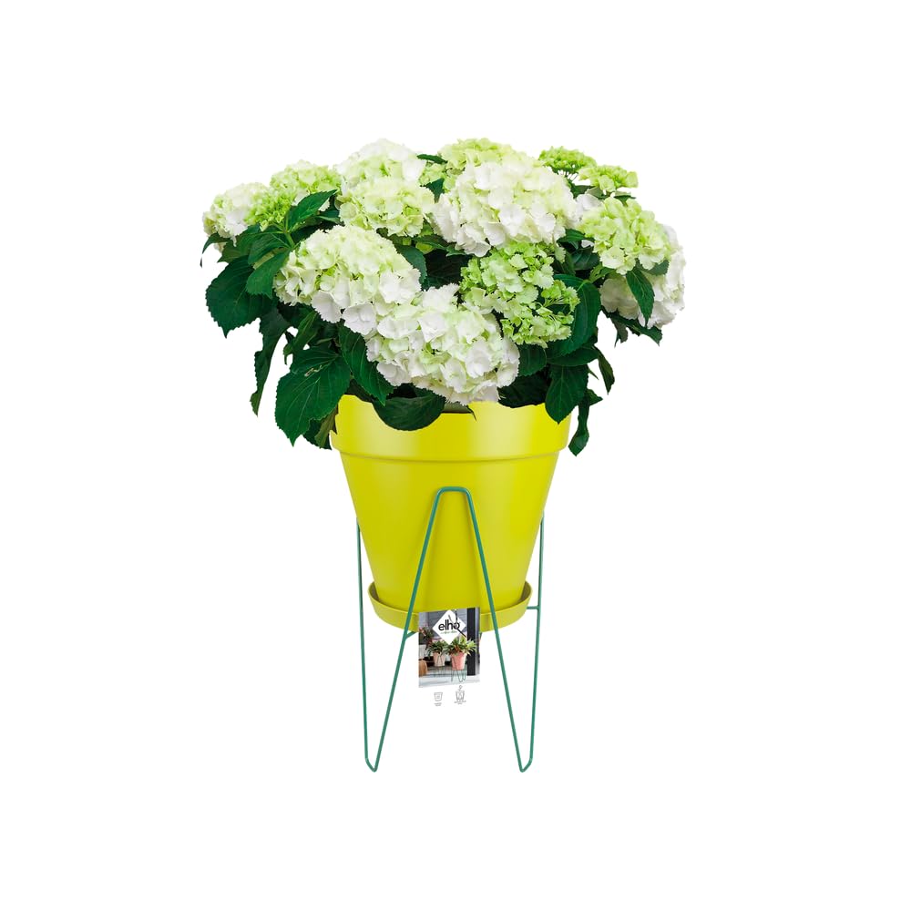 elho-loft-urban-cadre-30cm-support-pour-pot-vert-jade image 3