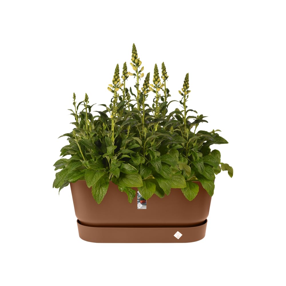 elho-greenville-terrasse-80-cm-roues-jardini-re-marron-glac image 3