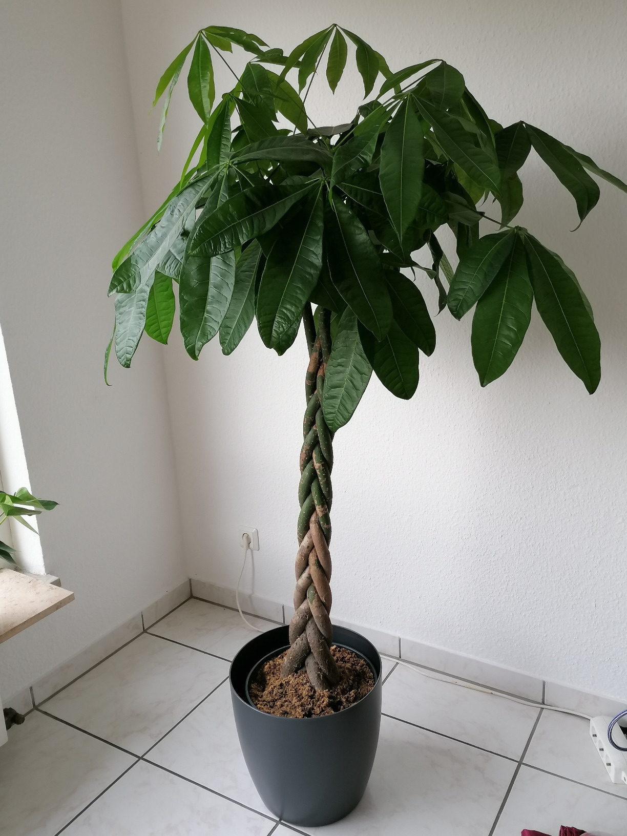 Très contente de cet achat