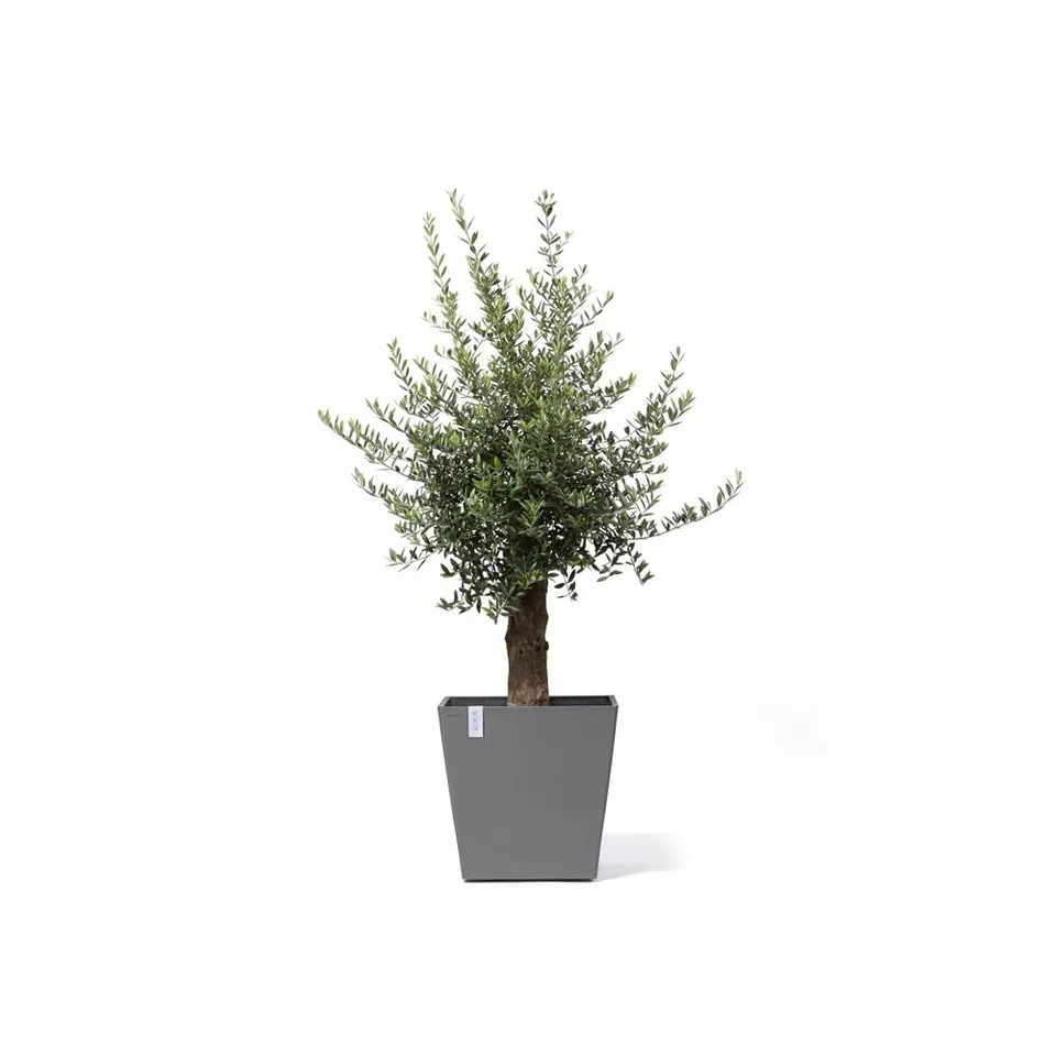 ecopots-rotterdam-grand-pot-sur-roues-50-gris-50-x-50-x-h-49-2-cm-76-3-l image 1