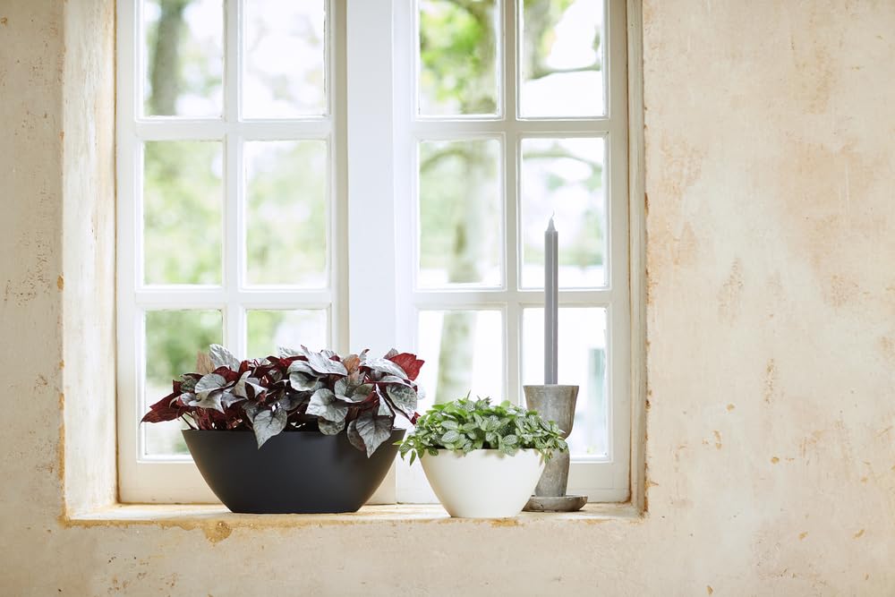elho-brussels-ovale-20-pot-de-fleurs-int-rieur-noir-anthracite-20-2-x-h-10-5-cm image 7