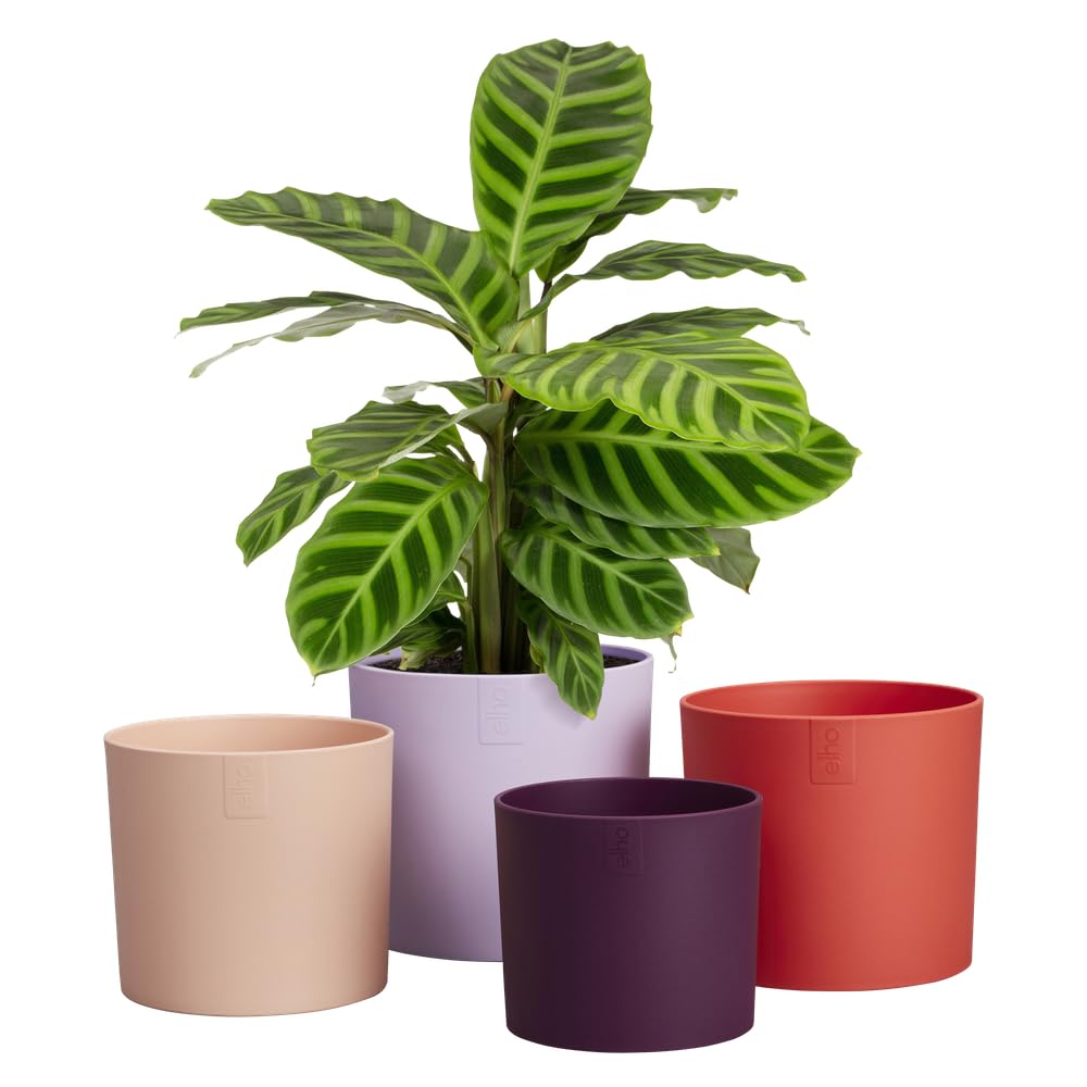 elho-lex-pott-set-15-cm-soft-lilac-lot-de-4-pots-en-plastique-recycl image 3