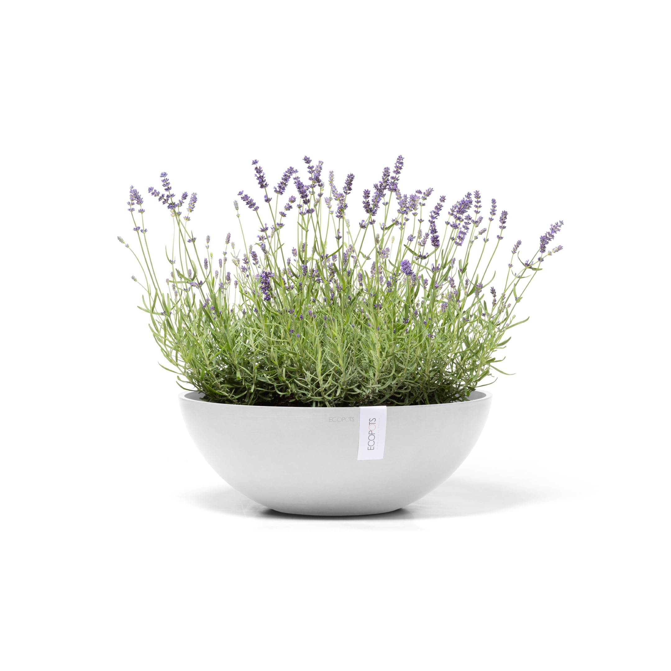 ecopots-vienna-50-pot-rond-extra-large-50-4-x-18-5-cm-int-rieur-ext-rieur image 2