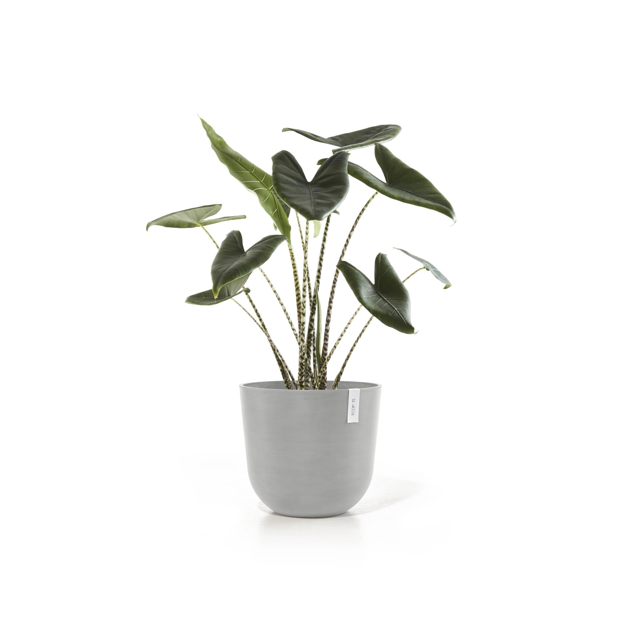 ecopots-oslo-45-pot-rond-blanc-gris-avec-r-servoir-d-eau-45-x-h-39-2-cm-46-6-l image 4