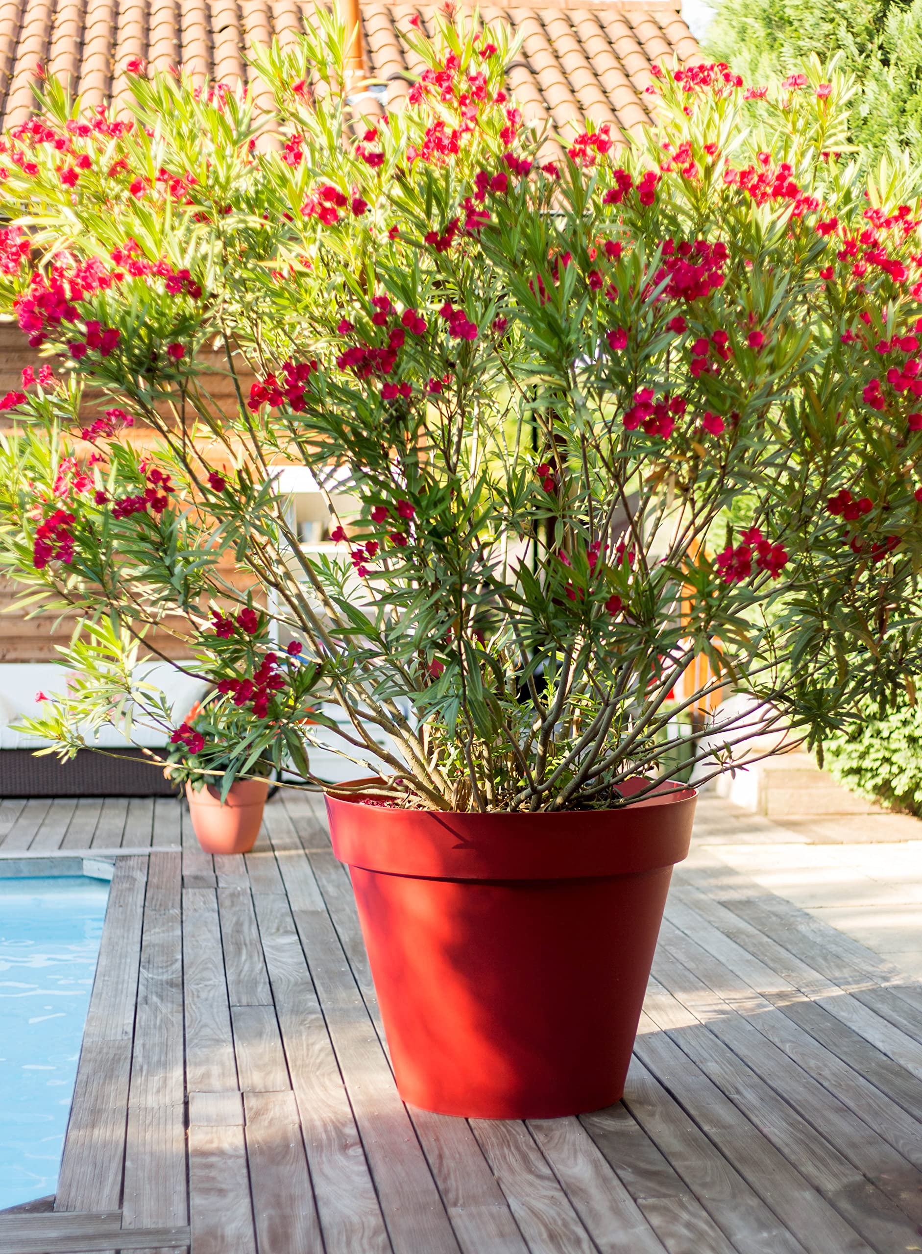 eda-pot-rond-toscane-100-cm-356-l-98-5-x-h-79-5-cm-rouge-rubis image 4