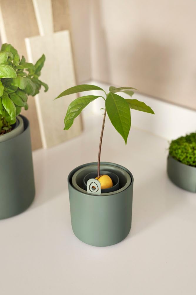 elho-amazing-avocado-pot-pot-avocat-12-x-h-12-1-cm-leaf-green image 8
