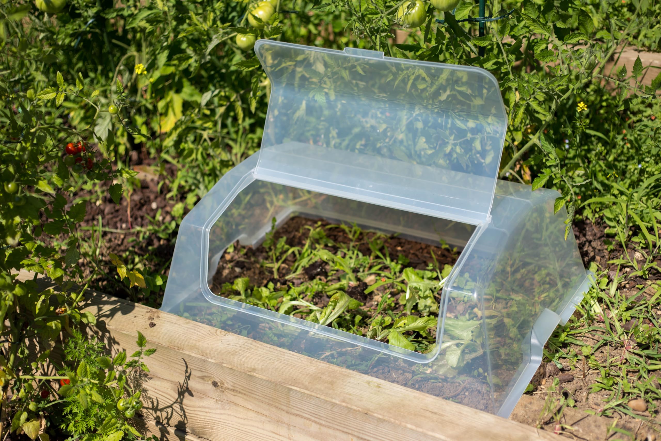 eda-serre-de-culture-pour-espace-potager-veg-table-max-transparent image 7