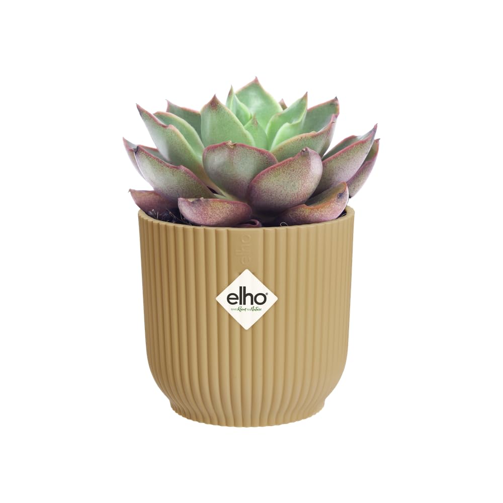 elho-vibes-fold-rond-mini-7cm-pot-jaune-beurre-7-x-h-6-5-cm image 8
