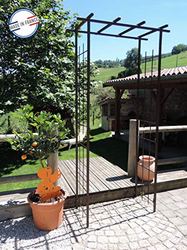 louis-moulin-pergola-troite-tube-carr-plante-grimpante-fer-vieilli-97-x-40-x-198 image 7
