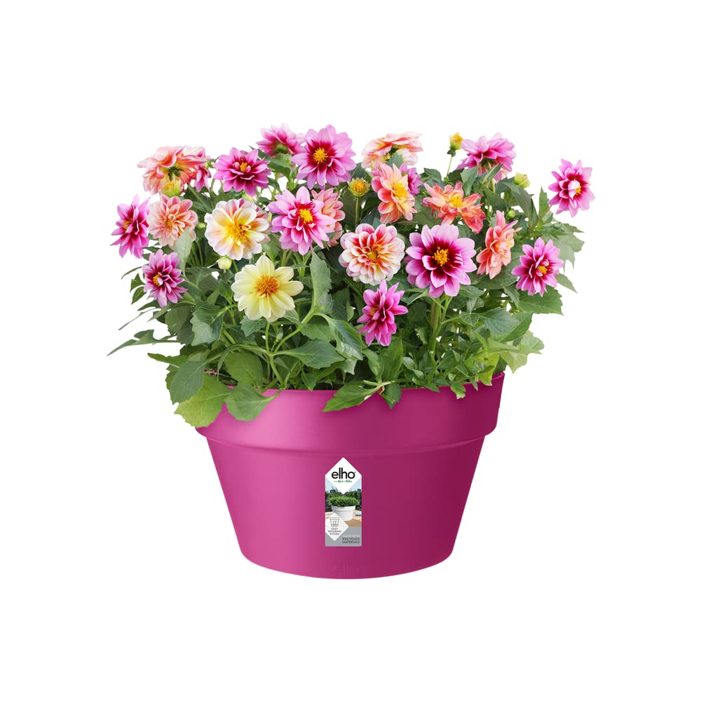 elho-loft-urban-coupe-35-pot-de-fleurs-cerise-35-x-h-20-2-cm-ext-rieur image 3