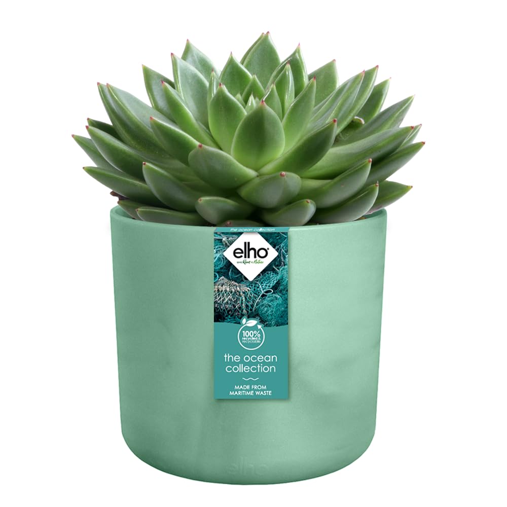 elho-the-ocean-collection-rond-14-cm-pot-de-fleur-vert-pacifique image 3