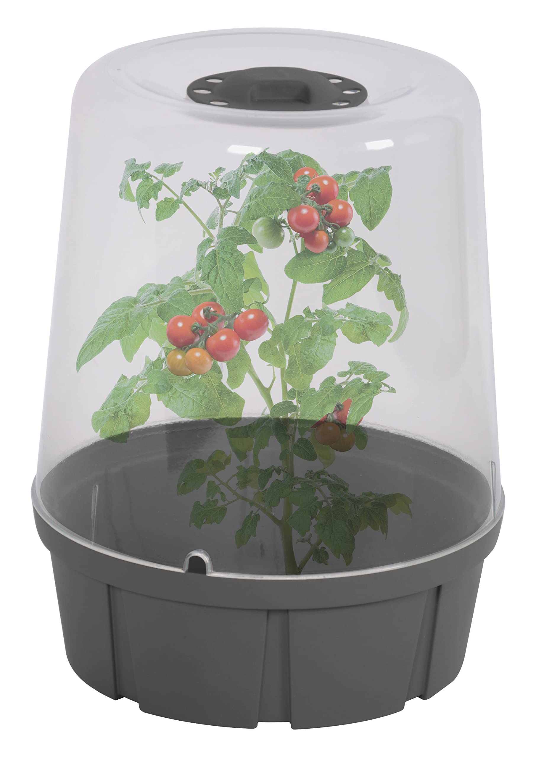 eda-mini-serre-de-culture-ronde-3-4-l-cloche-sp-ciale-tomates-25-x-h-32-cm-gris- image 4