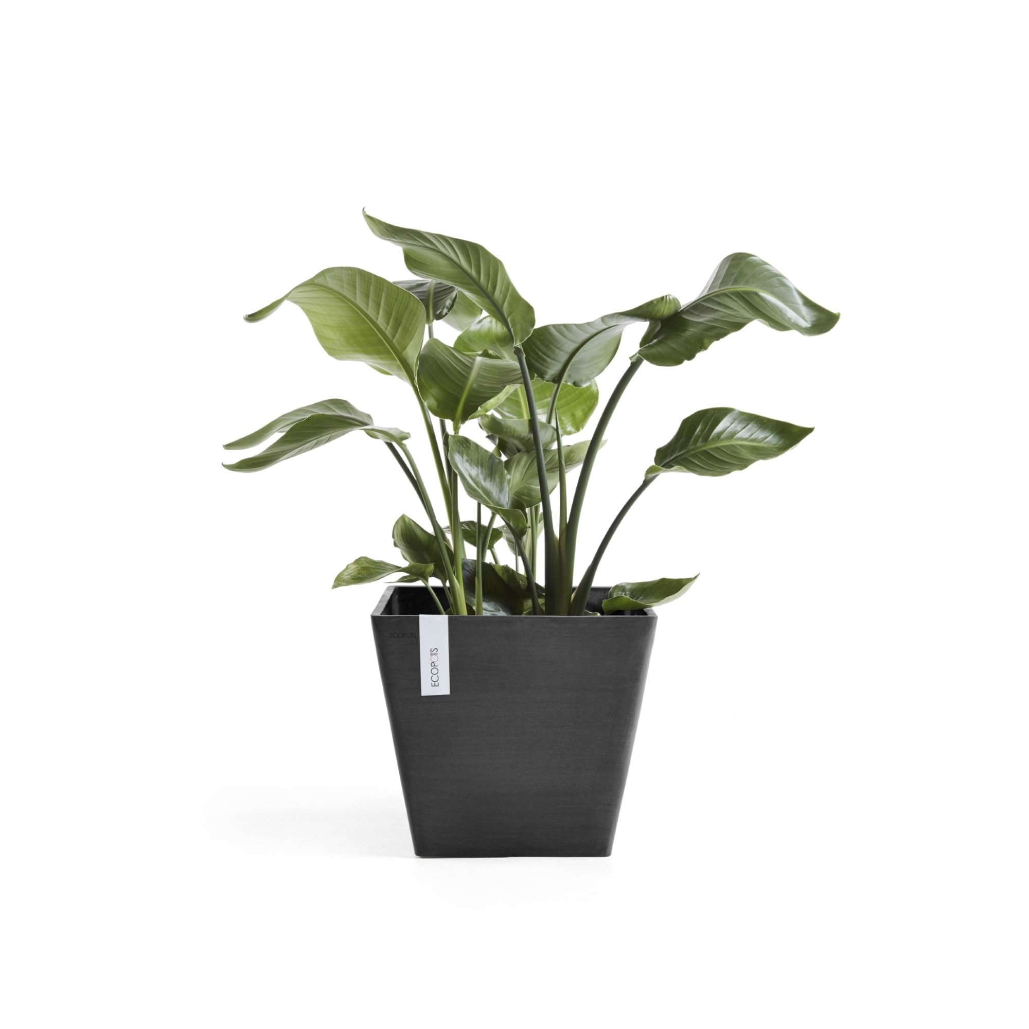 ecopots-rotterdam-pot-de-fleurs-carr-plastique-recycl-noir-40-x-40-x-35-cm image 5