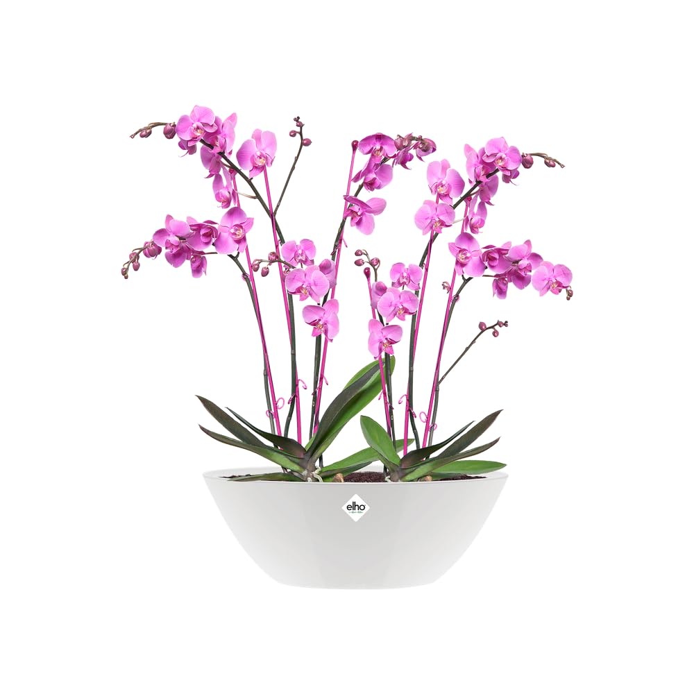 elho-brussels-diamond-ovale-36cm-pot-de-fleur-blanc image 3