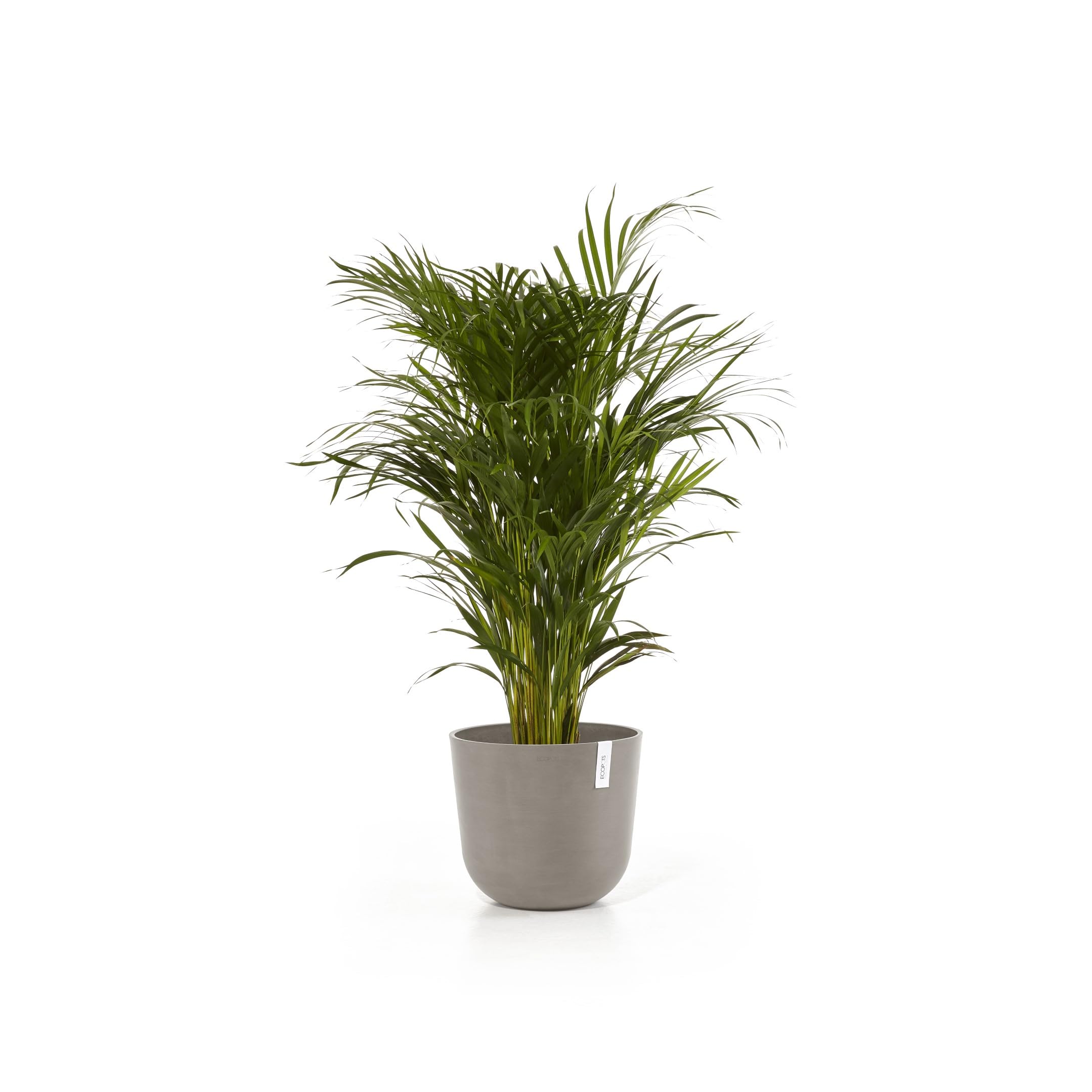 ecopots-oslo-pot-rond-35-cm-21-7-l-avec-r-servoir-d-eau-taupe image 3
