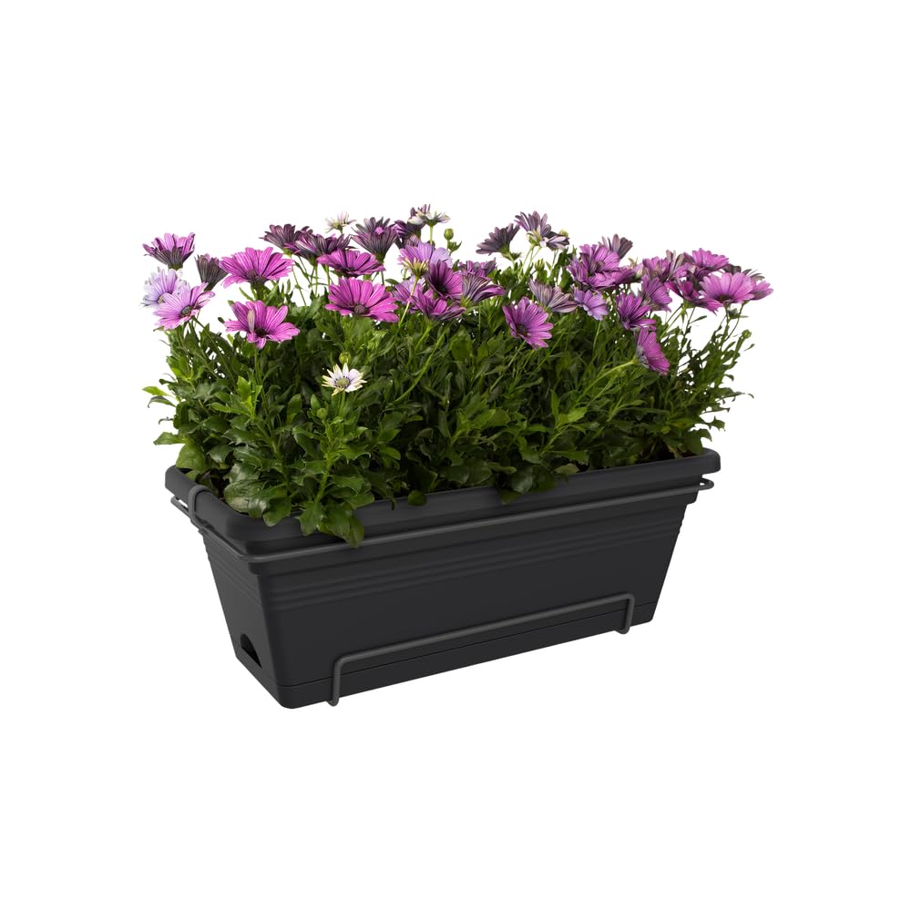 elho-green-basics-balconni-re-xl-allin-1-55-cm-18-l-living-noir-avec-soucoupe image 6