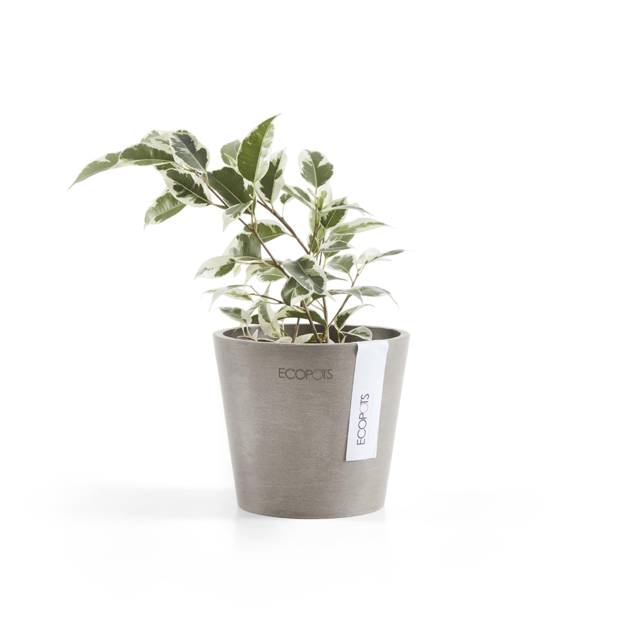 ecopots-amsterdam-mini-d-10-5-x-h-9-2-cm-petit-pot-recycl image 2