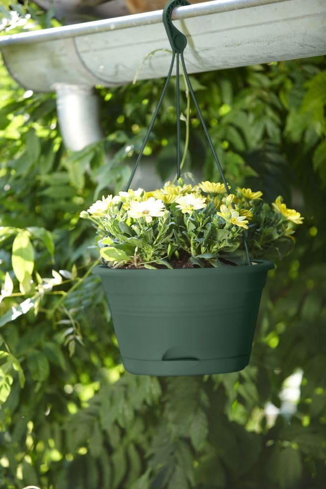 elho-green-basics-suspension-28cm-balconni-re-avec-soucoupe-int-gr-e-leaf-green image 5
