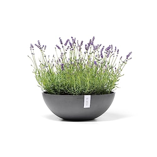 ecopots-vienna-50-gris-pot-de-fleurs-50-cm image 8