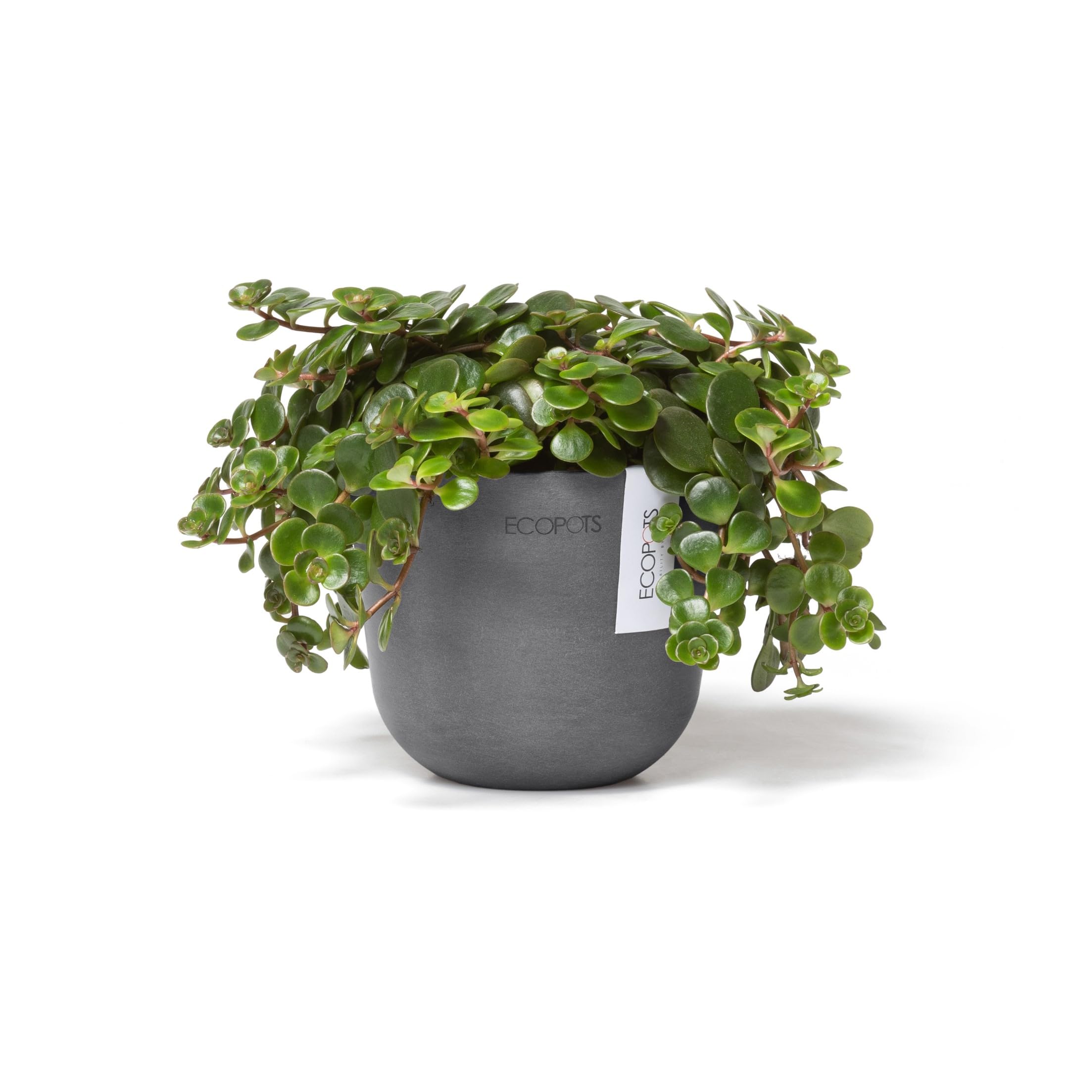 ecopots-oslo-mini-pot-gris-d-11-x-h-9-6-cm image 2