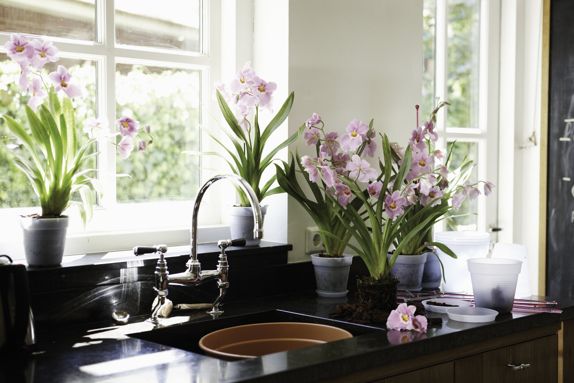 elho-green-basics-soucoupes-orchid-e-10-cm-transparent image 2