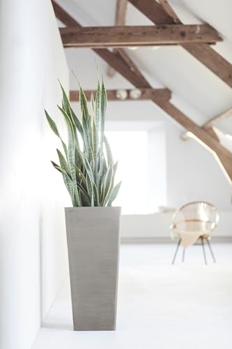 ecopots-rotterdam-haut-70-cm-taupe-pot-42-l image 5