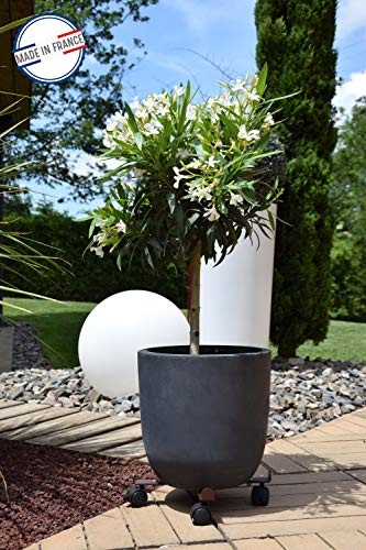 louis-moulin-roule-plante-extensible-34-51-cm-fer-vieilli-made-in-france image 6