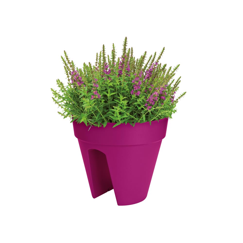 elho-loft-urban-flower-bridge-30-jardini-re-balcon-rose-cerise image 6
