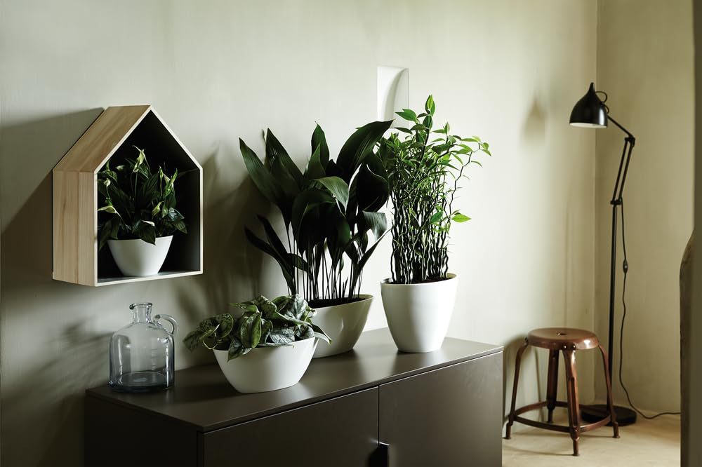 elho-brussels-diamond-ovale-36cm-pot-de-fleur-blanc image 6