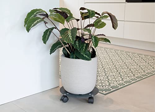 louis-moulin-roule-plante-design-rond-40-cm-anthracite image 6