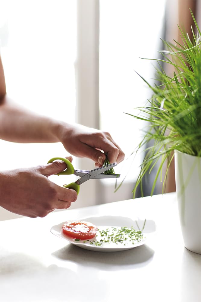 elho-brussels-herbes-station-30-blanc-support-herbes-aromatiques-ciseaux image 7