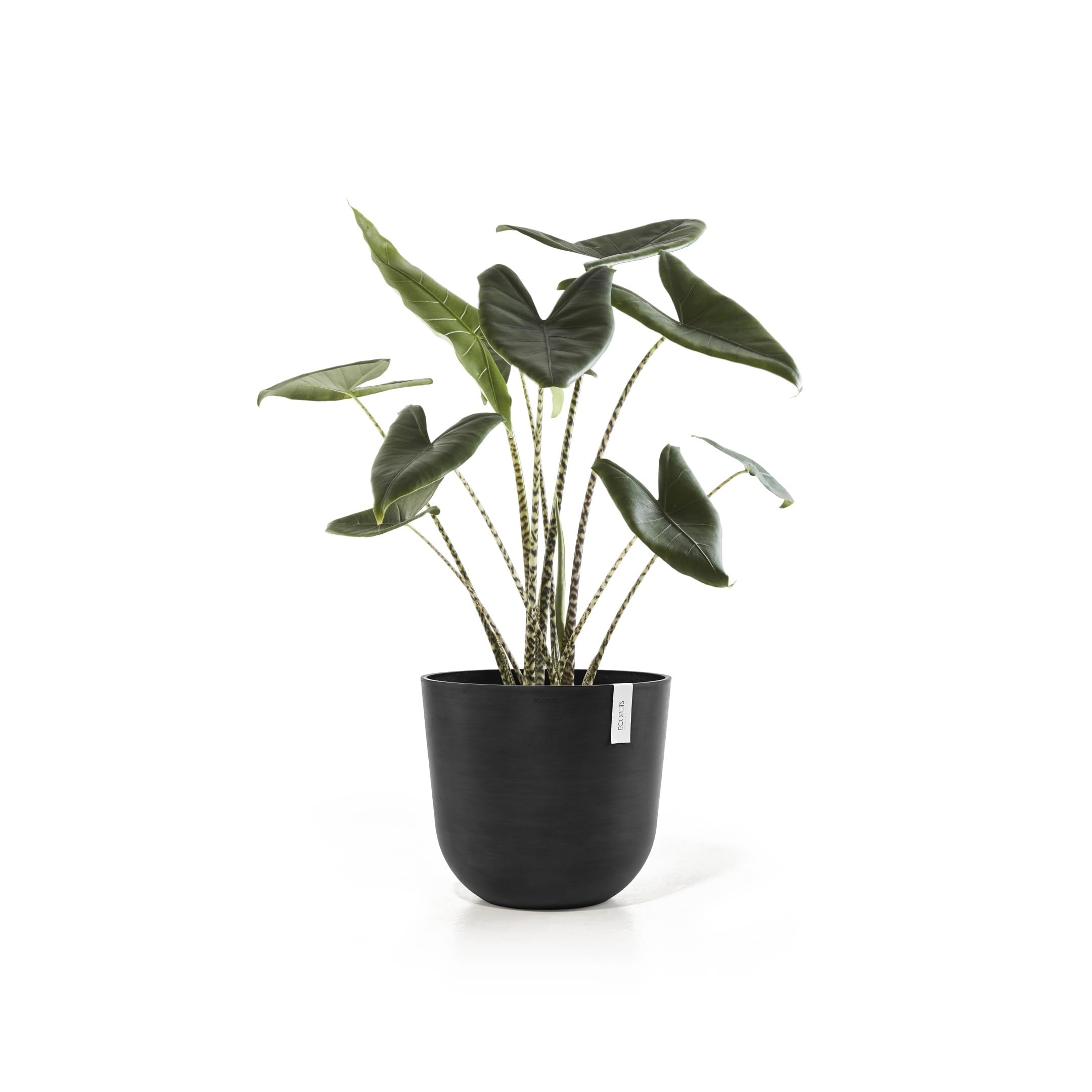 ecopots-pot-rond-oslo-45-gris-fonc-r-servoir-d-eau-45-x-h-39-2-cm-46-6-l image 4