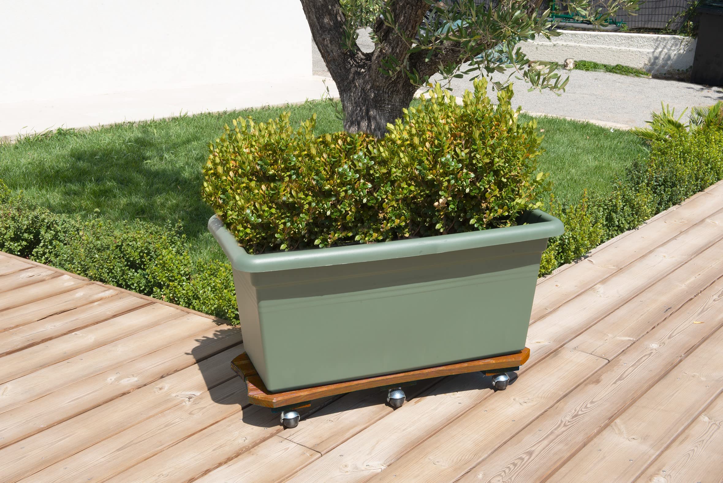 louis-moulin-roule-plante-bois-sp-cial-bac-30x70-cm-naturel-origine-france-garan image 3