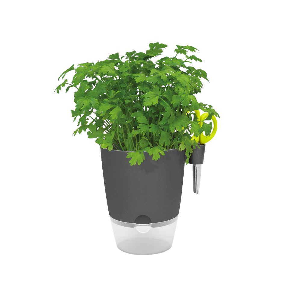 elho-brussels-all-in-1-pot-herbes-13-cm-anthracite-avec-ciseaux image 3